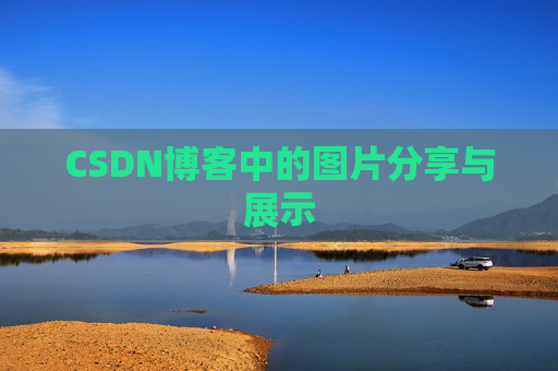 CSDN博客中的图片分享与展示